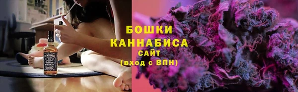 бошки Осинники