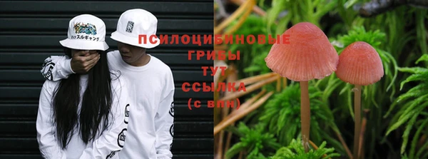 бошки Осинники