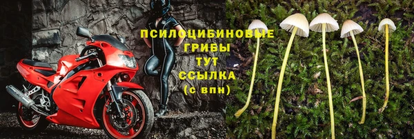 бошки Осинники