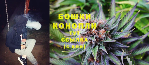 бошки Осинники