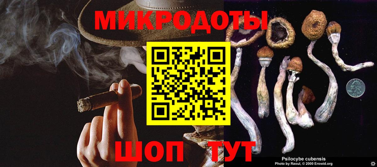 Галлюциногенные грибы Magic Shrooms Октябрьский