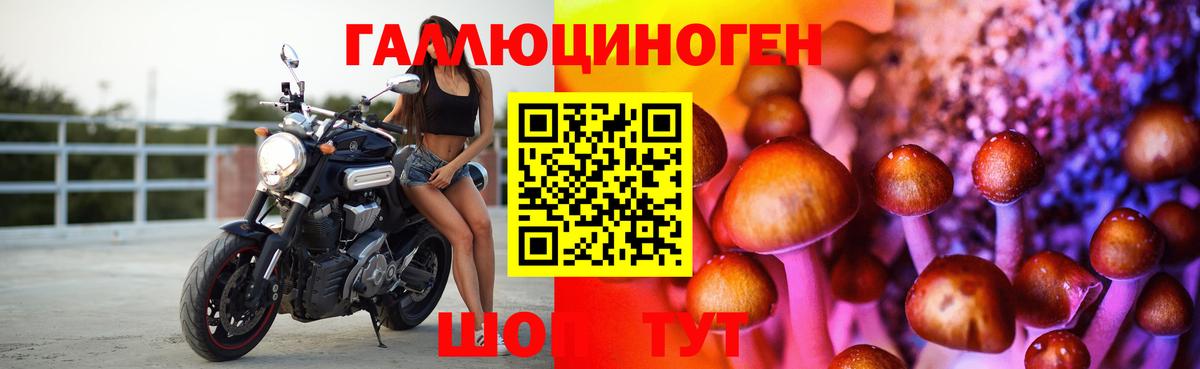 Молли  Вход с VPN  Конопля  Cocaine  APVP  Меф  ЛЁД  Гашик  Октябрьский  Конопля 